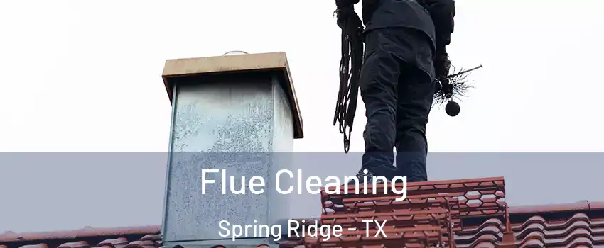 Flue Cleaning Spring Ridge - TX