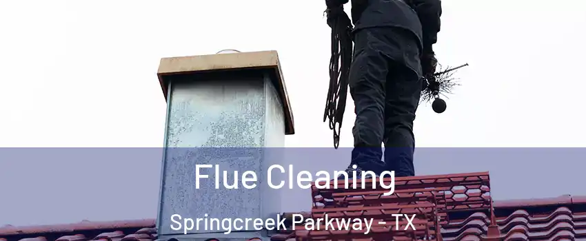 Flue Cleaning Springcreek Parkway - TX
