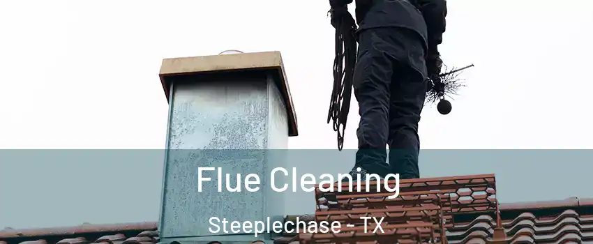 Flue Cleaning Steeplechase - TX