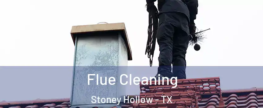 Flue Cleaning Stoney Hollow - TX