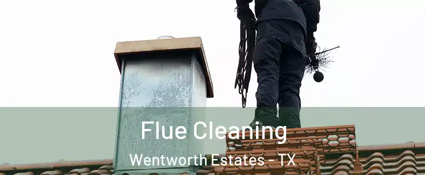 Flue Cleaning Wentworth Estates - TX