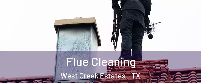 Flue Cleaning West Creek Estates - TX
