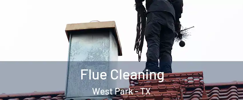 Flue Cleaning West Park - TX