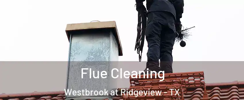 Flue Cleaning Westbrook at Ridgeview - TX