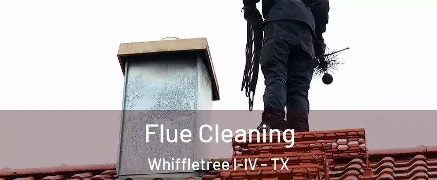 Flue Cleaning Whiffletree I-IV - TX