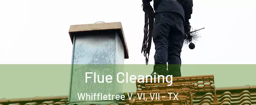 Flue Cleaning Whiffletree V, VI, VII - TX