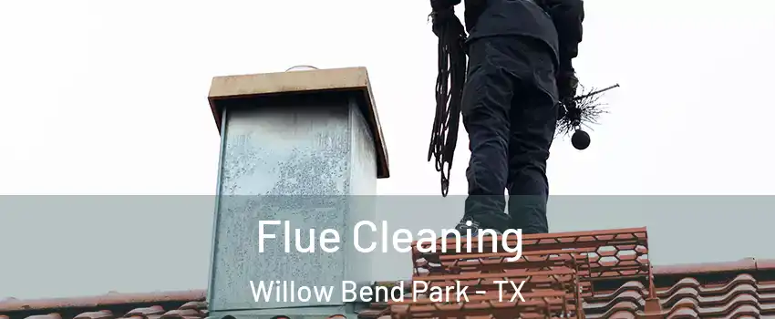 Flue Cleaning Willow Bend Park - TX