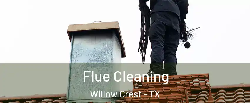 Flue Cleaning Willow Crest - TX