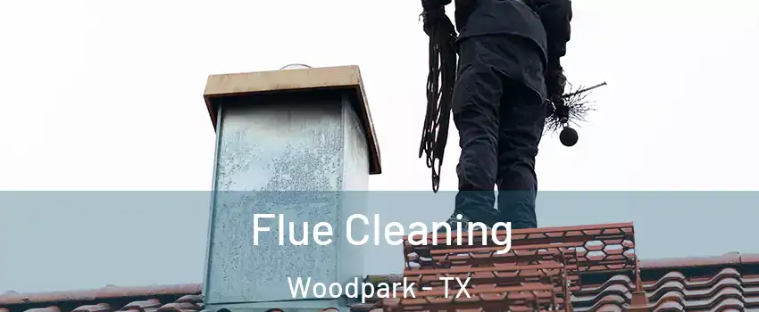 Flue Cleaning Woodpark - TX