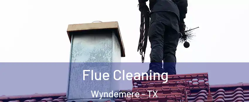 Flue Cleaning Wyndemere - TX