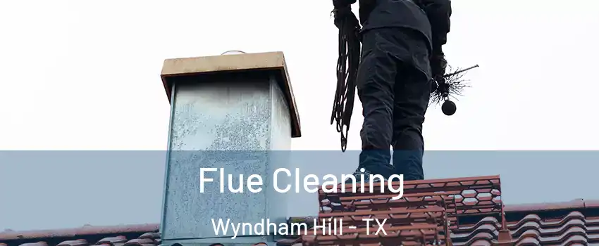 Flue Cleaning Wyndham Hill - TX