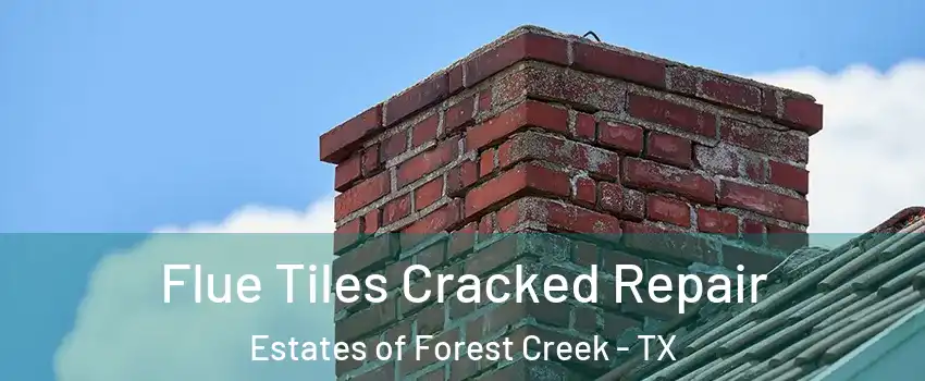 Flue Tiles Cracked Repair Estates of Forest Creek - TX