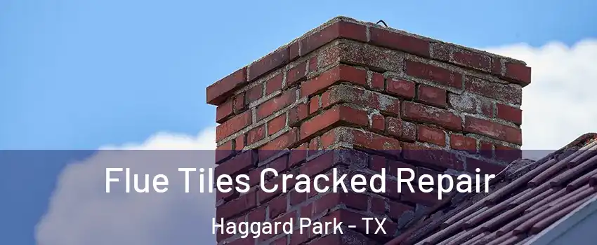 Flue Tiles Cracked Repair Haggard Park - TX
