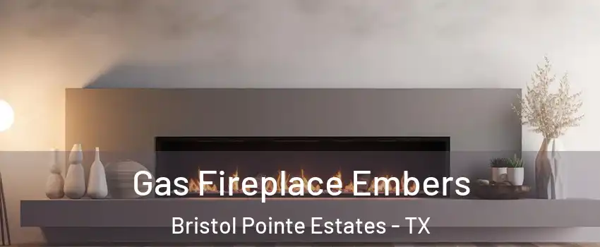 Gas Fireplace Embers Bristol Pointe Estates - TX