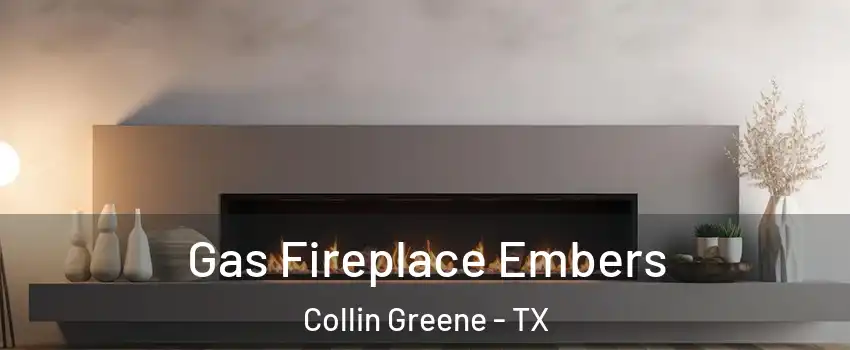 Gas Fireplace Embers Collin Greene - TX