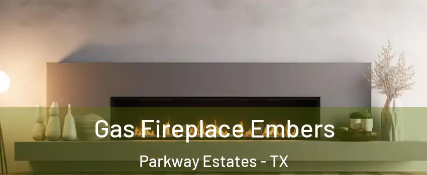 Gas Fireplace Embers Parkway Estates - TX