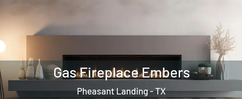 Gas Fireplace Embers Pheasant Landing - TX