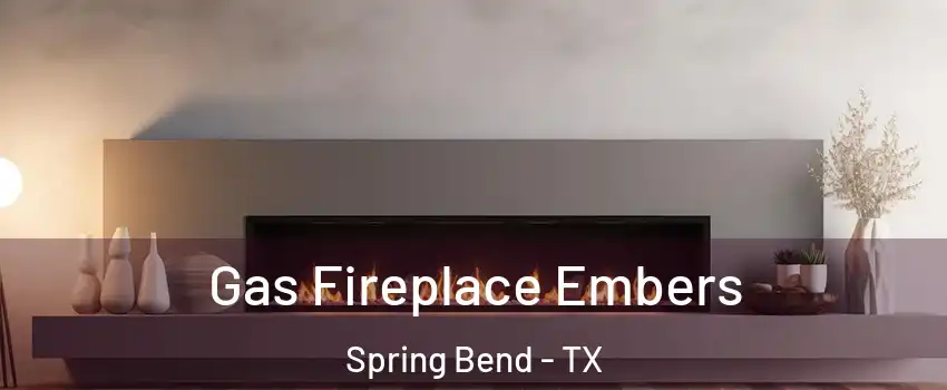 Gas Fireplace Embers Spring Bend - TX