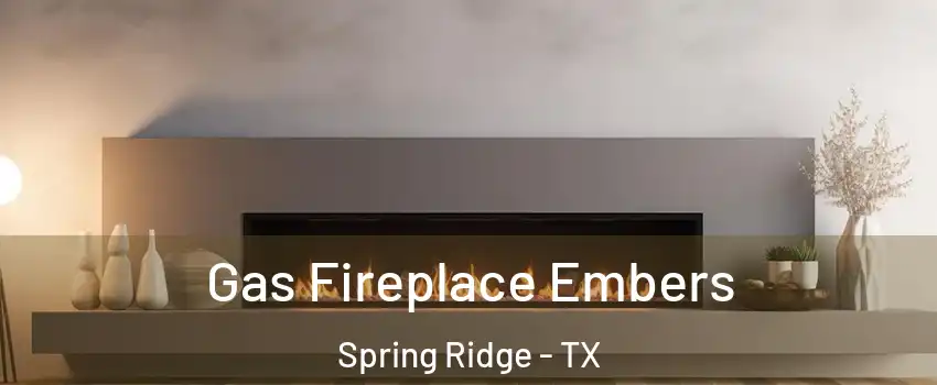 Gas Fireplace Embers Spring Ridge - TX