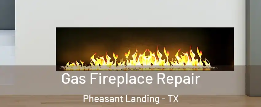 Gas Fireplace Repair Pheasant Landing - TX