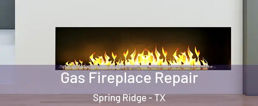Gas Fireplace Repair Spring Ridge - TX