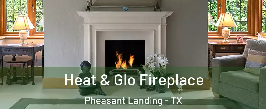 Heat & Glo Fireplace Pheasant Landing - TX