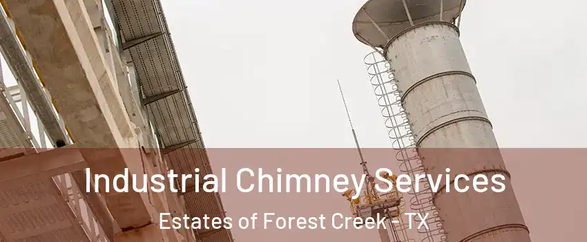 Industrial Chimney Services Estates of Forest Creek - TX