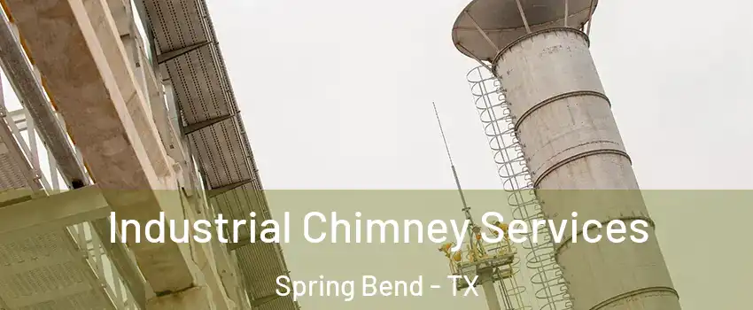 Industrial Chimney Services Spring Bend - TX