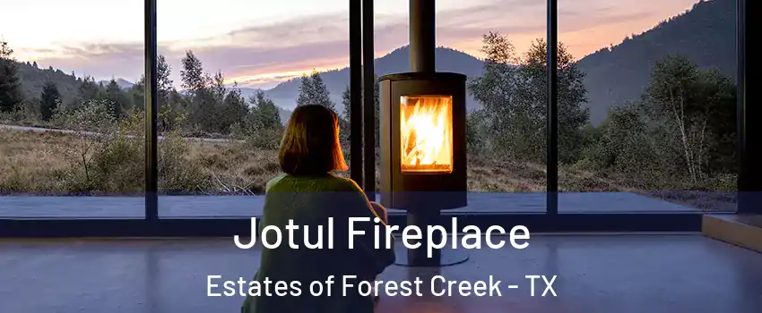Jotul Fireplace Estates of Forest Creek - TX