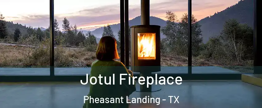 Jotul Fireplace Pheasant Landing - TX