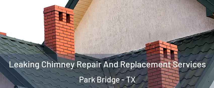 Leaking Chimney Repair And Replacement Services Park Bridge - TX