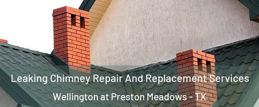Leaking Chimney Repair And Replacement Services Wellington at Preston Meadows - TX
