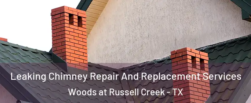 Leaking Chimney Repair And Replacement Services Woods at Russell Creek - TX