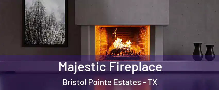 Majestic Fireplace Bristol Pointe Estates - TX