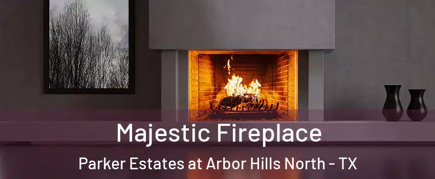 Majestic Fireplace Parker Estates at Arbor Hills North - TX