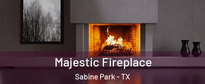Majestic Fireplace Sabine Park - TX