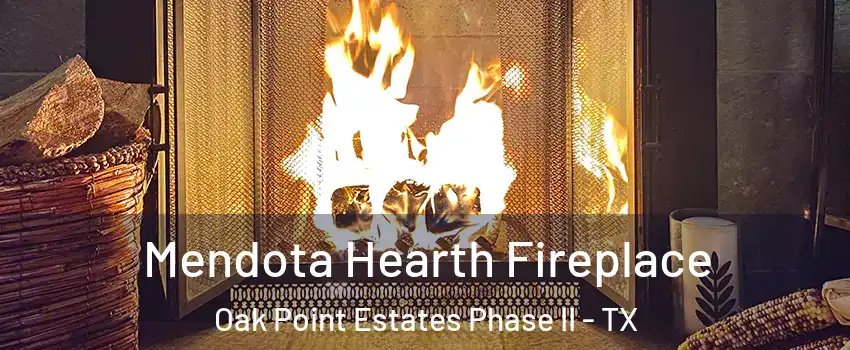 Mendota Hearth Fireplace Oak Point Estates Phase II - TX