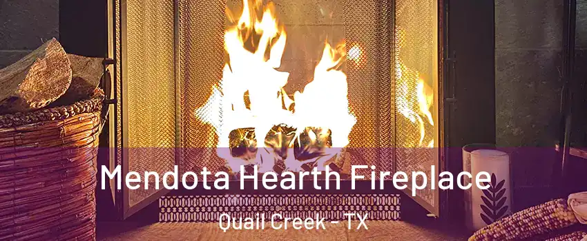 Mendota Hearth Fireplace Quail Creek - TX