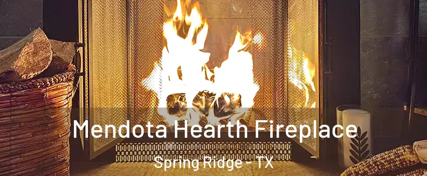 Mendota Hearth Fireplace Spring Ridge - TX