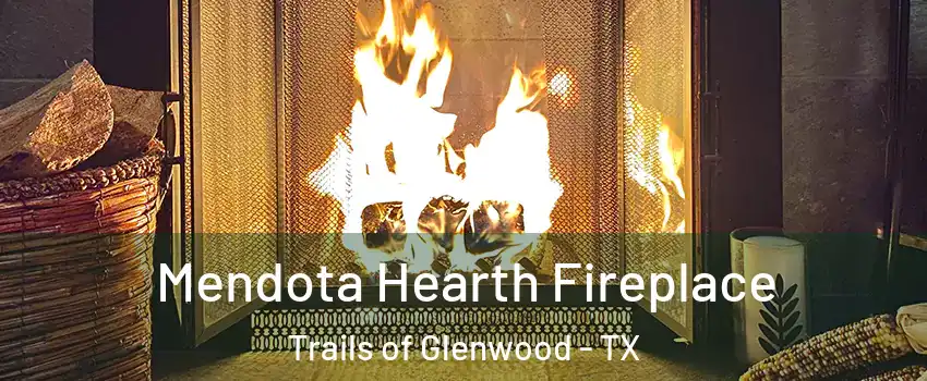 Mendota Hearth Fireplace Trails of Glenwood - TX
