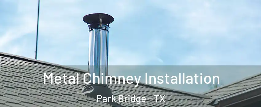 Metal Chimney Installation Park Bridge - TX