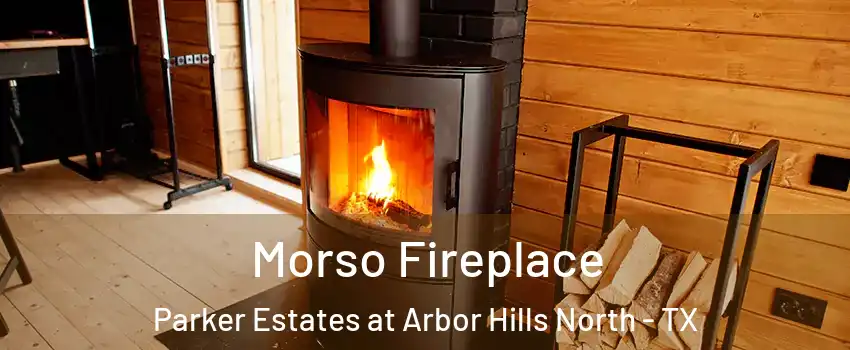 Morso Fireplace Parker Estates at Arbor Hills North - TX