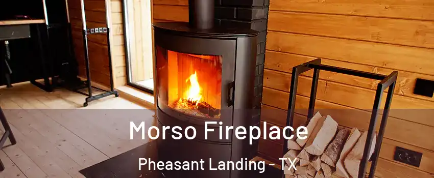 Morso Fireplace Pheasant Landing - TX