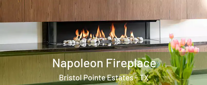 Napoleon Fireplace Bristol Pointe Estates - TX