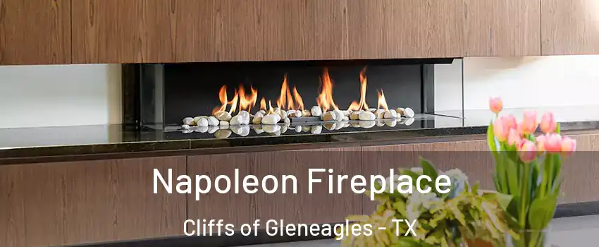 Napoleon Fireplace Cliffs of Gleneagles - TX