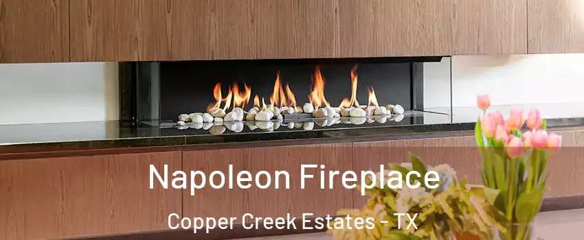 Napoleon Fireplace Copper Creek Estates - TX