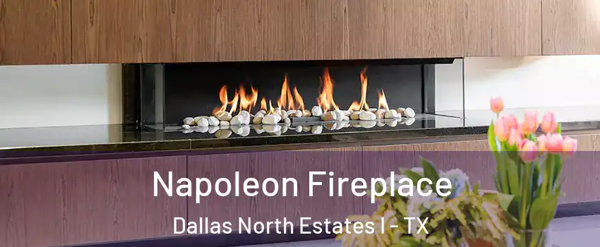 Napoleon Fireplace Dallas North Estates I - TX