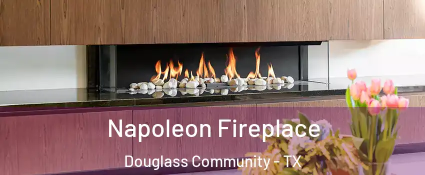 Napoleon Fireplace Douglass Community - TX