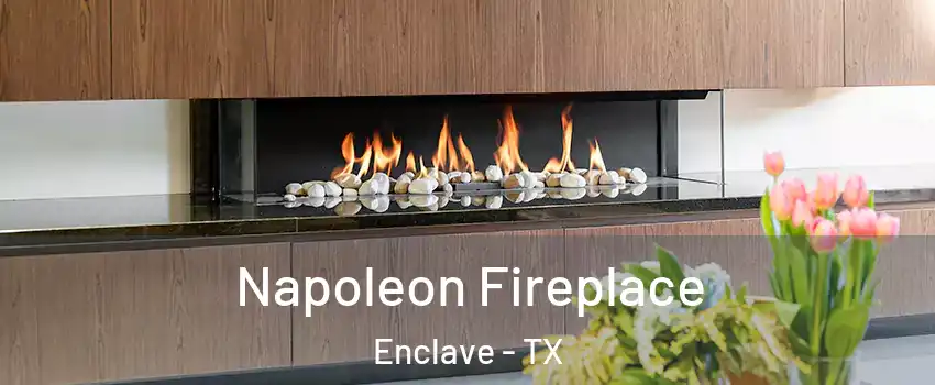 Napoleon Fireplace Enclave - TX