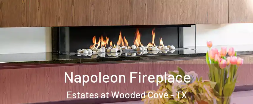 Napoleon Fireplace Estates at Wooded Cove - TX